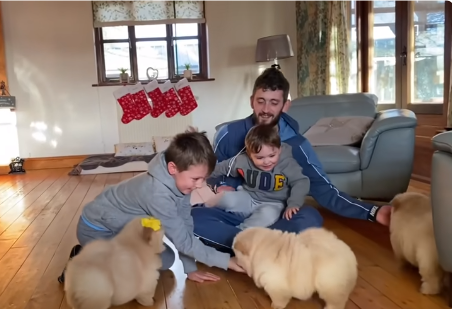 Vesper Modern Cat Tree for large cats