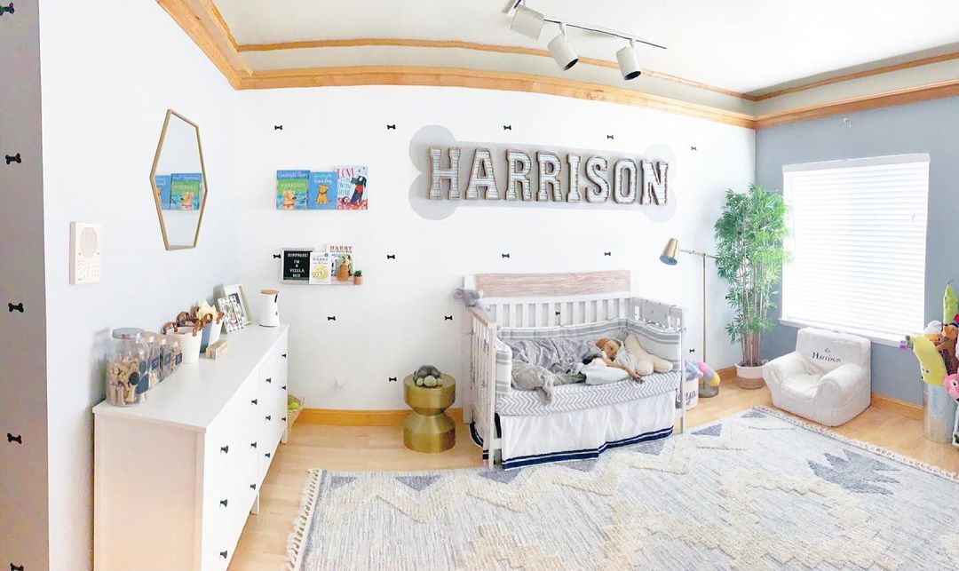 Harrison the dog's room
