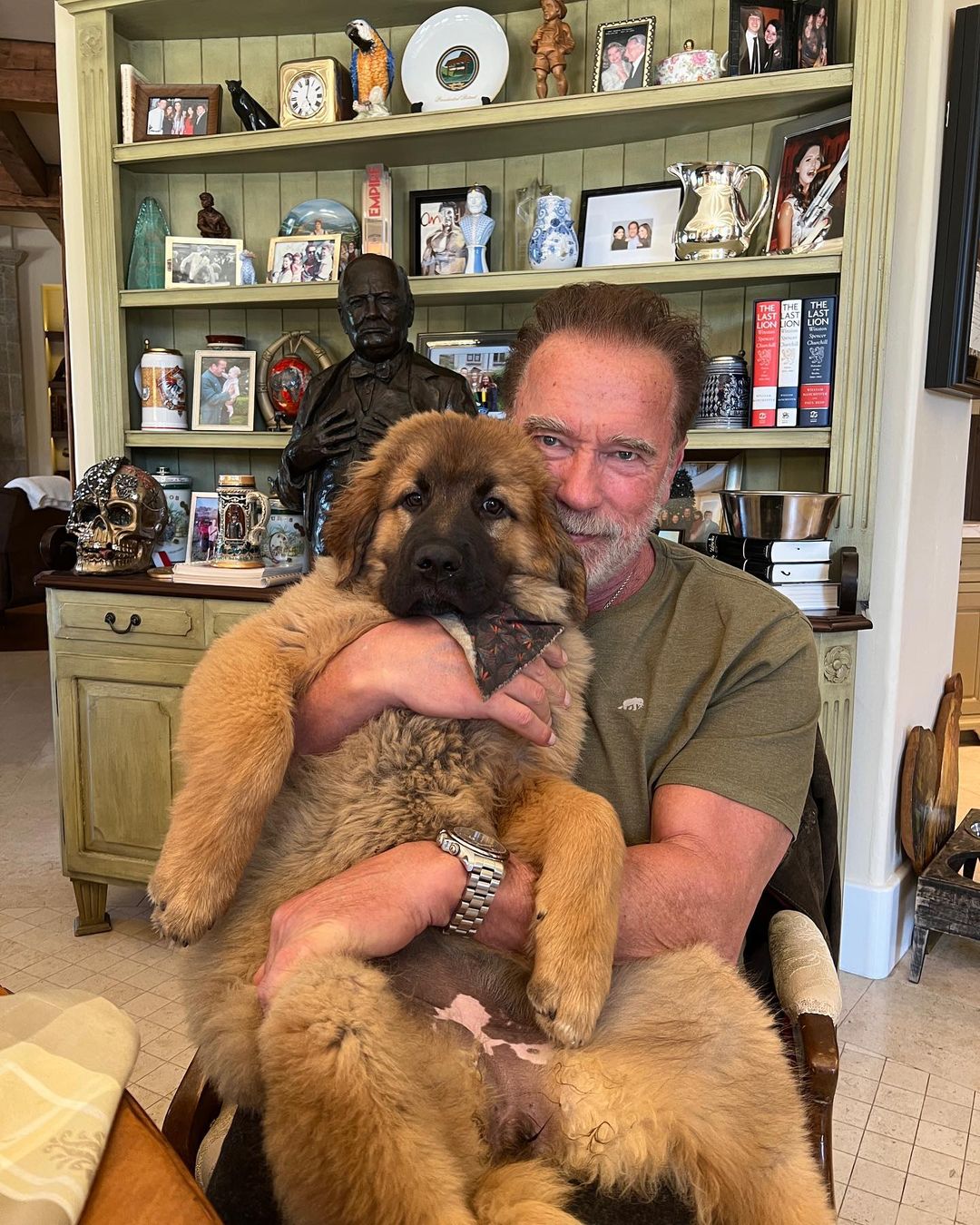Arnold Schwarzenegger carrying his dog Schnitzel