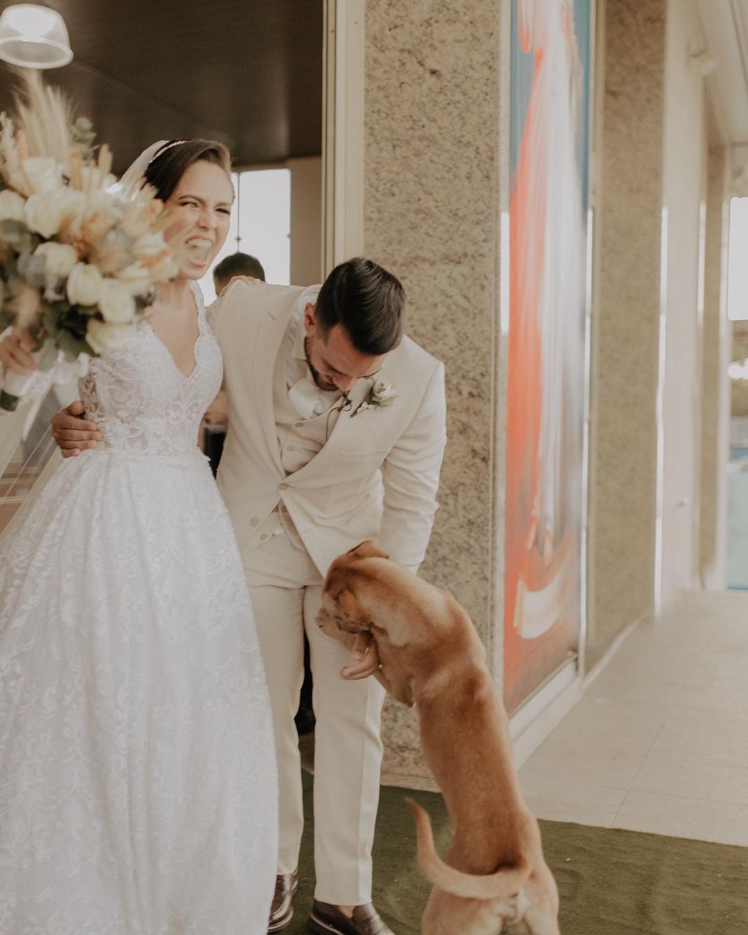 Stray Dog greeting newlyweds