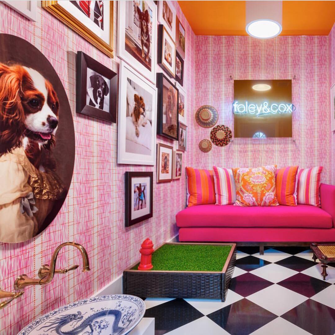 A dream dog room