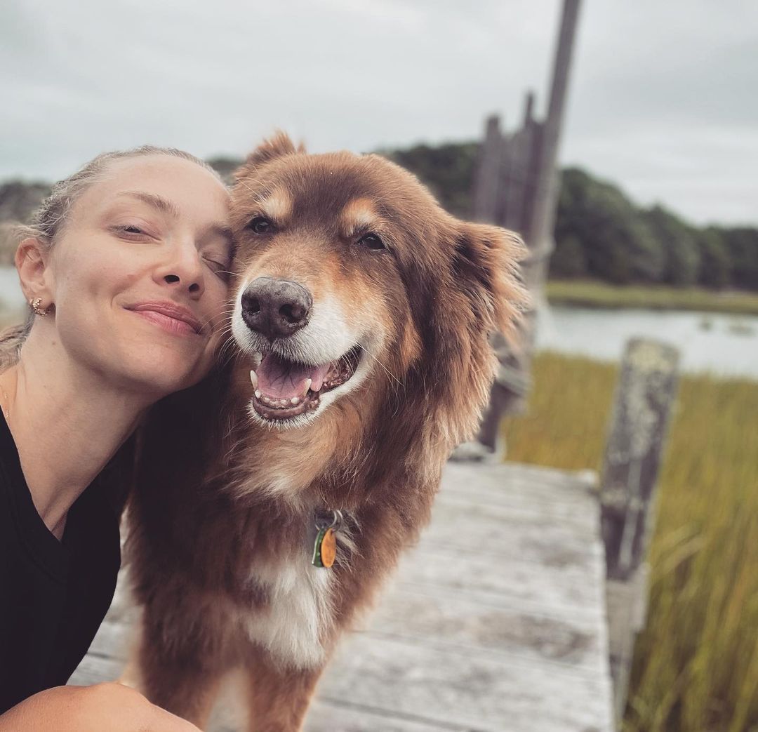 Amanda Seyfried Poses With Her Dog, Finn
