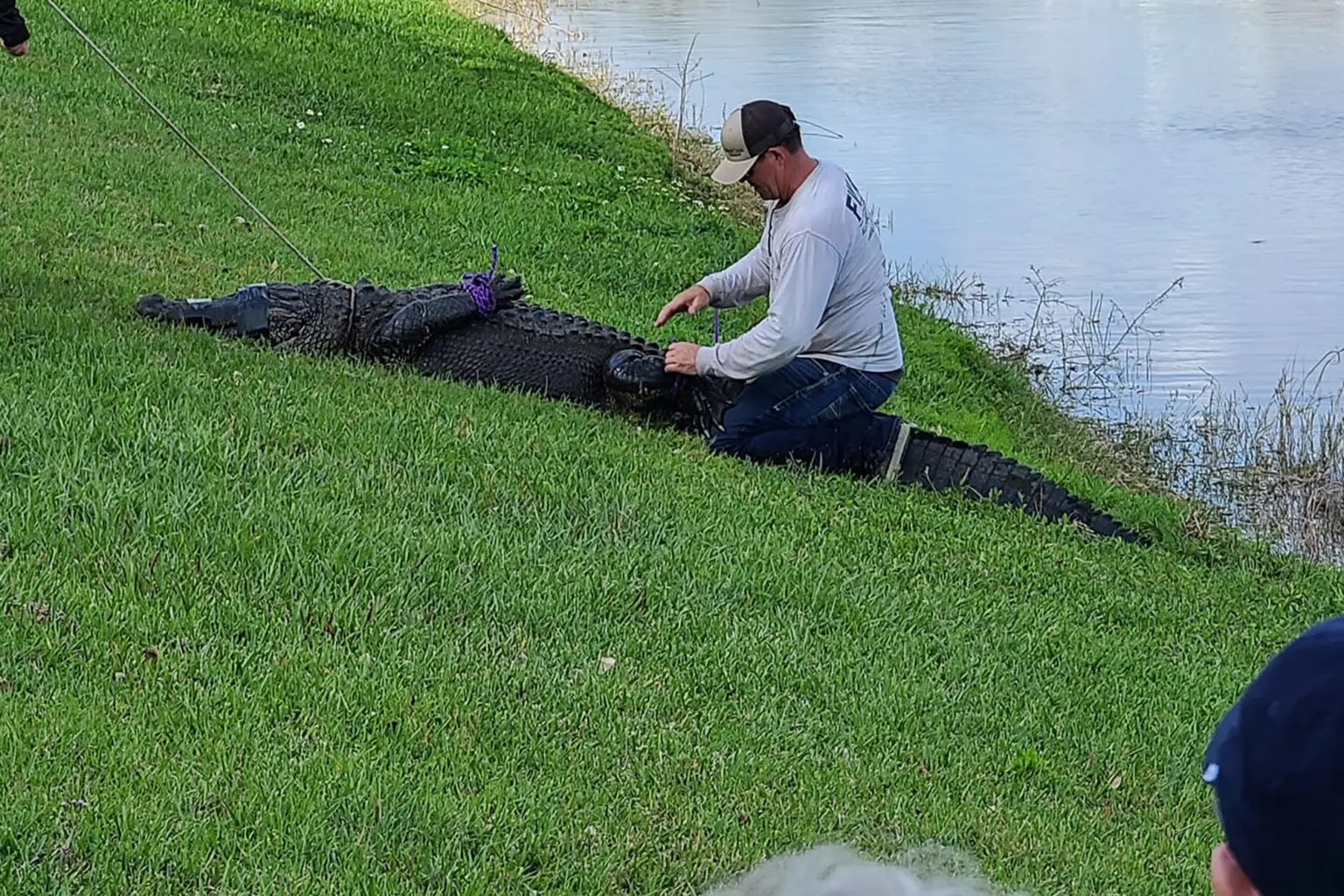 Bisbee, The Dog With The Longest Tongue