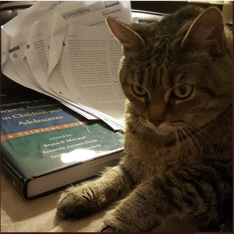 A cat with a weird look