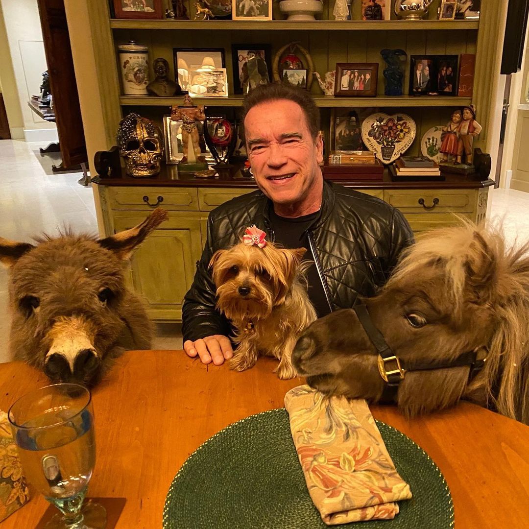 Arnold Schwarzenegger and his pony, mini horse and dog