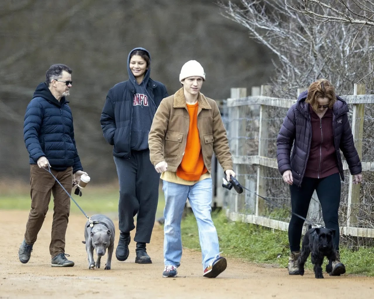 Tom Holland and Zendaya on a dog walk with their parents