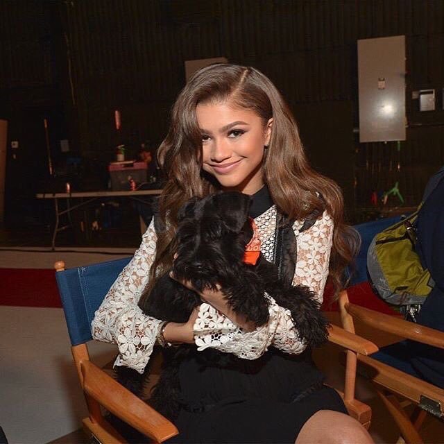 Zendaya and her dog in on vacation in London