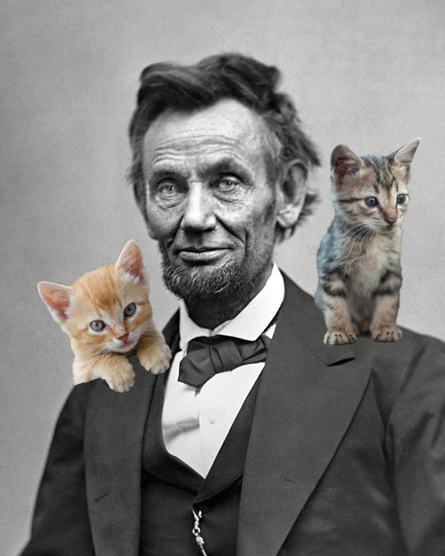 Tabby and Dixie, Abraham Lincoln's Cats
