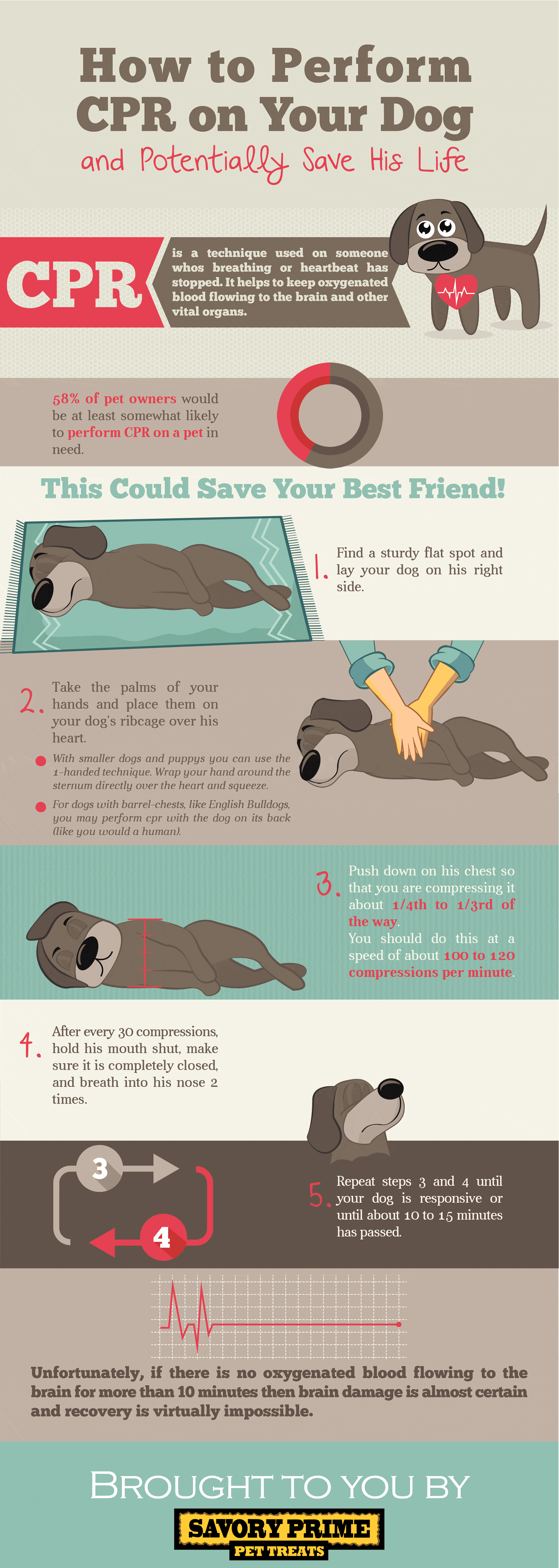 A chart on how tp perform CPR on a dog