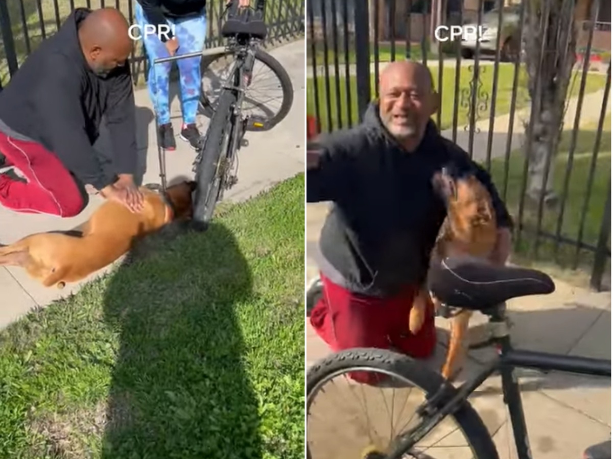 A man performing CPR on a dog