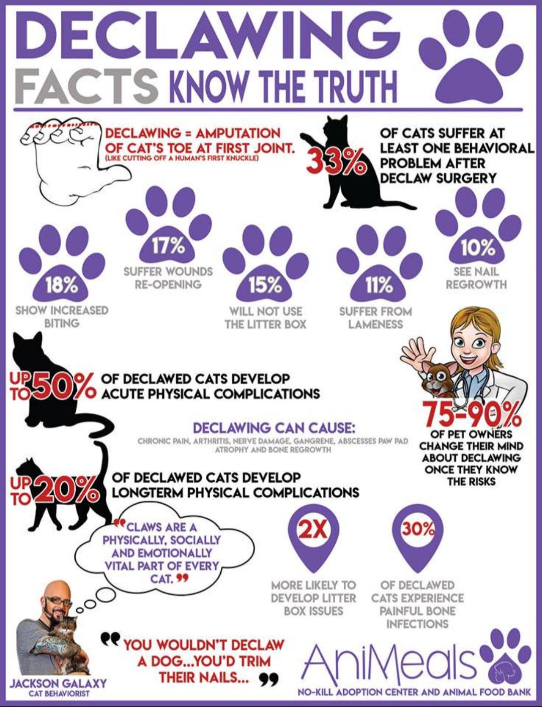 don't declaw your cat infographic