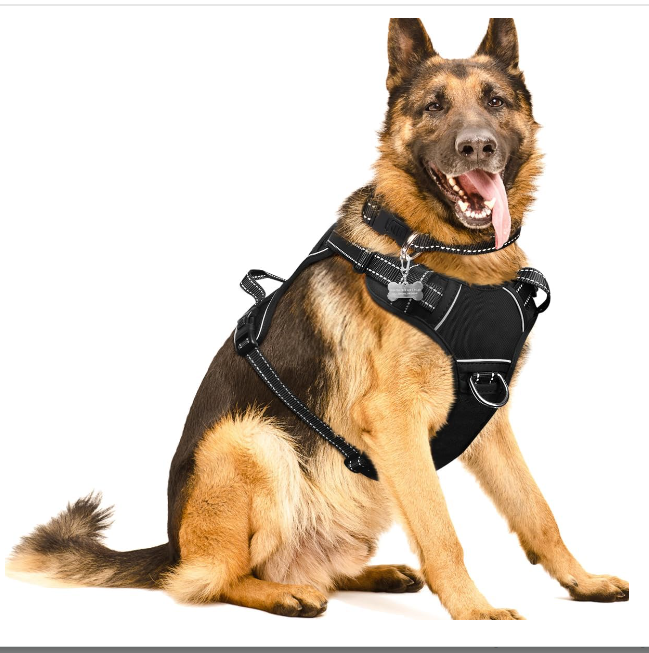 A German Shepherd wearing the WINSEE No-Pull Dog Harnesses with Dog Collar