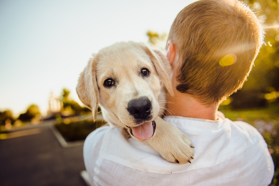 A man carrying a puppy on his shoulder