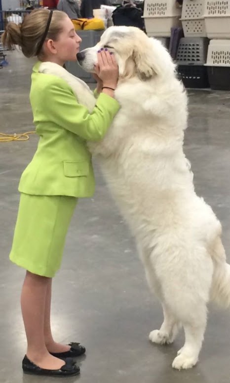Valley Forge Kennel Club Dog Show