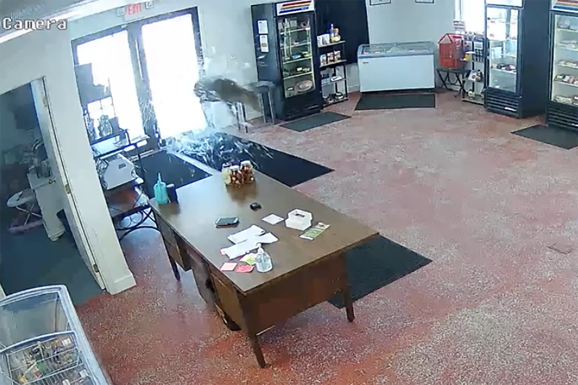 Deer Crashing Through Minnesota Butcher Shop's Glass Door