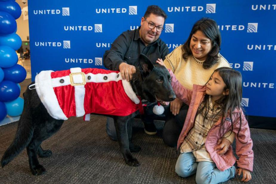 Pilot Adopts German Shepherd Abandoned at San Francisco Airport