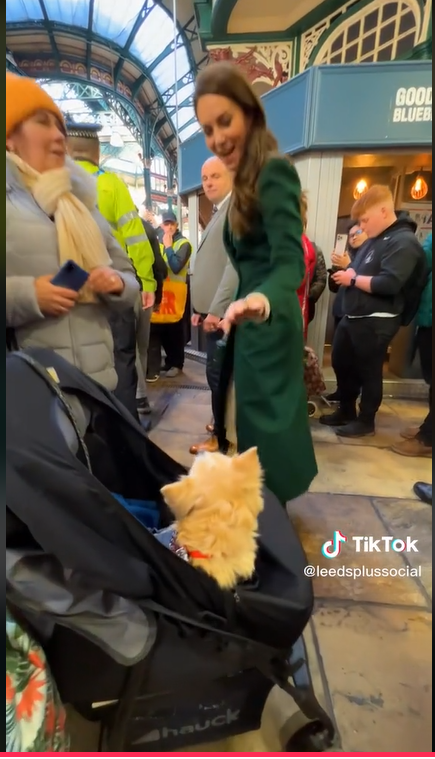 Kate Middleton meets with Casper the Chihuahua