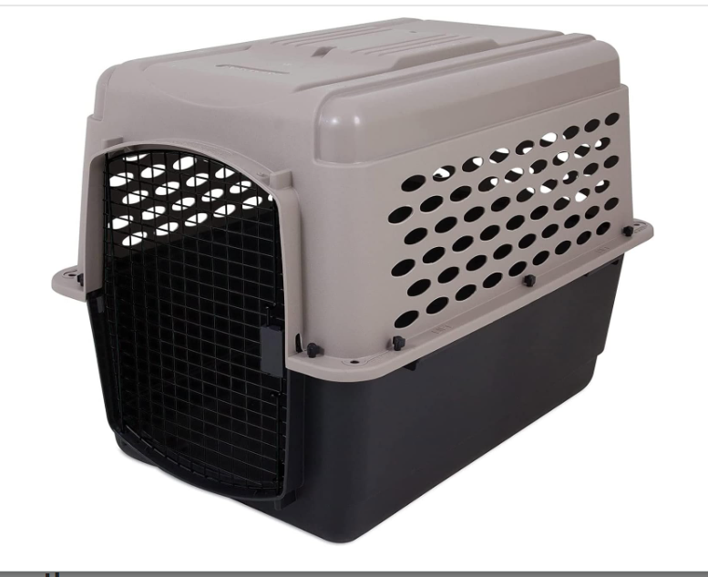 A Plastic Dog Crate