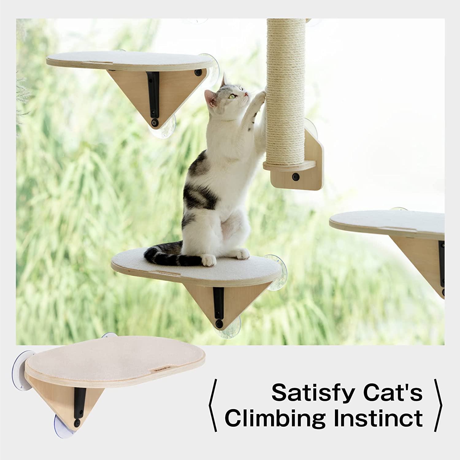 Cat Window Perch with climbing steps