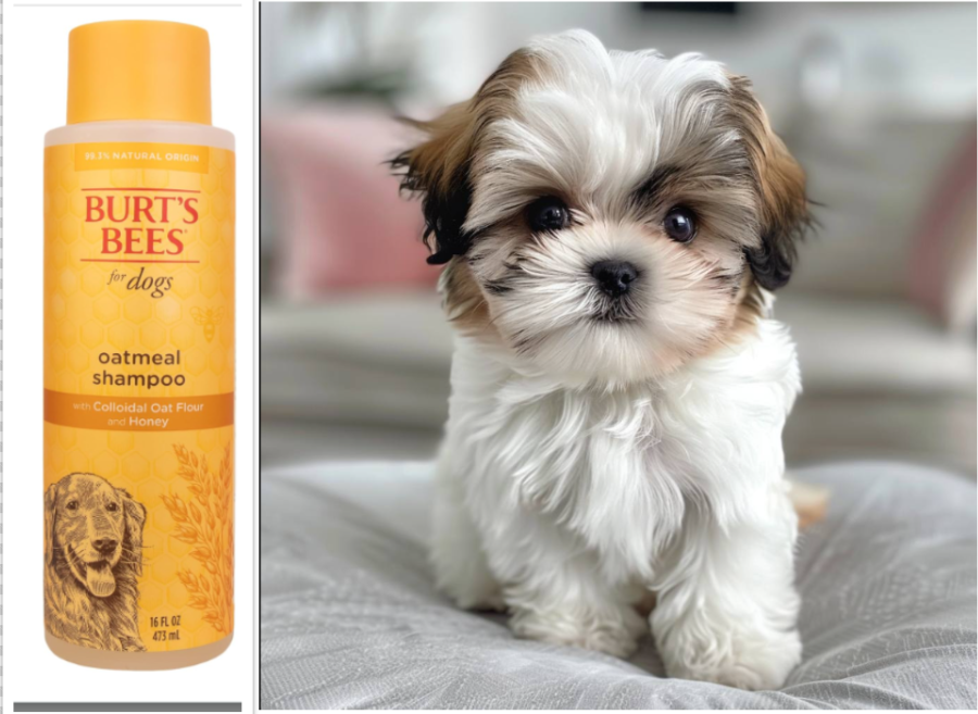 A dog shampoo and a Shih Tzu puppy