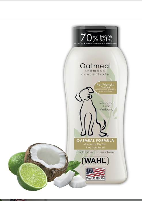 Nick the Siberian Husky