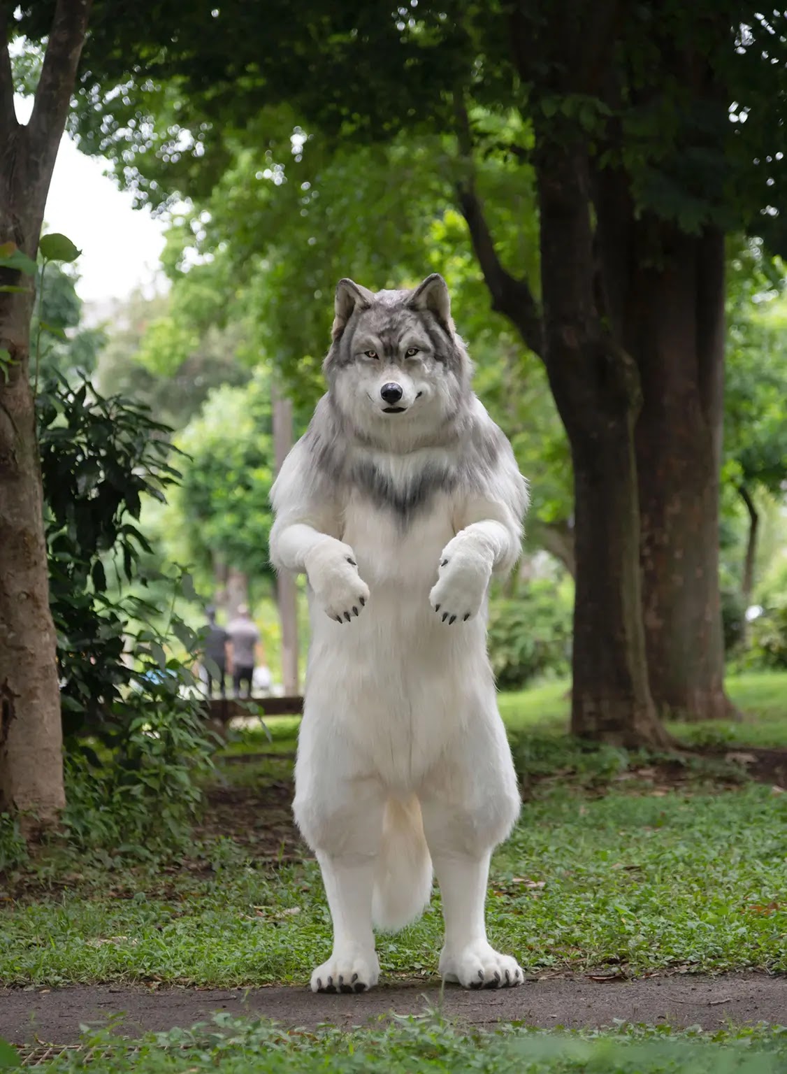 Toru Ueda the human wolf