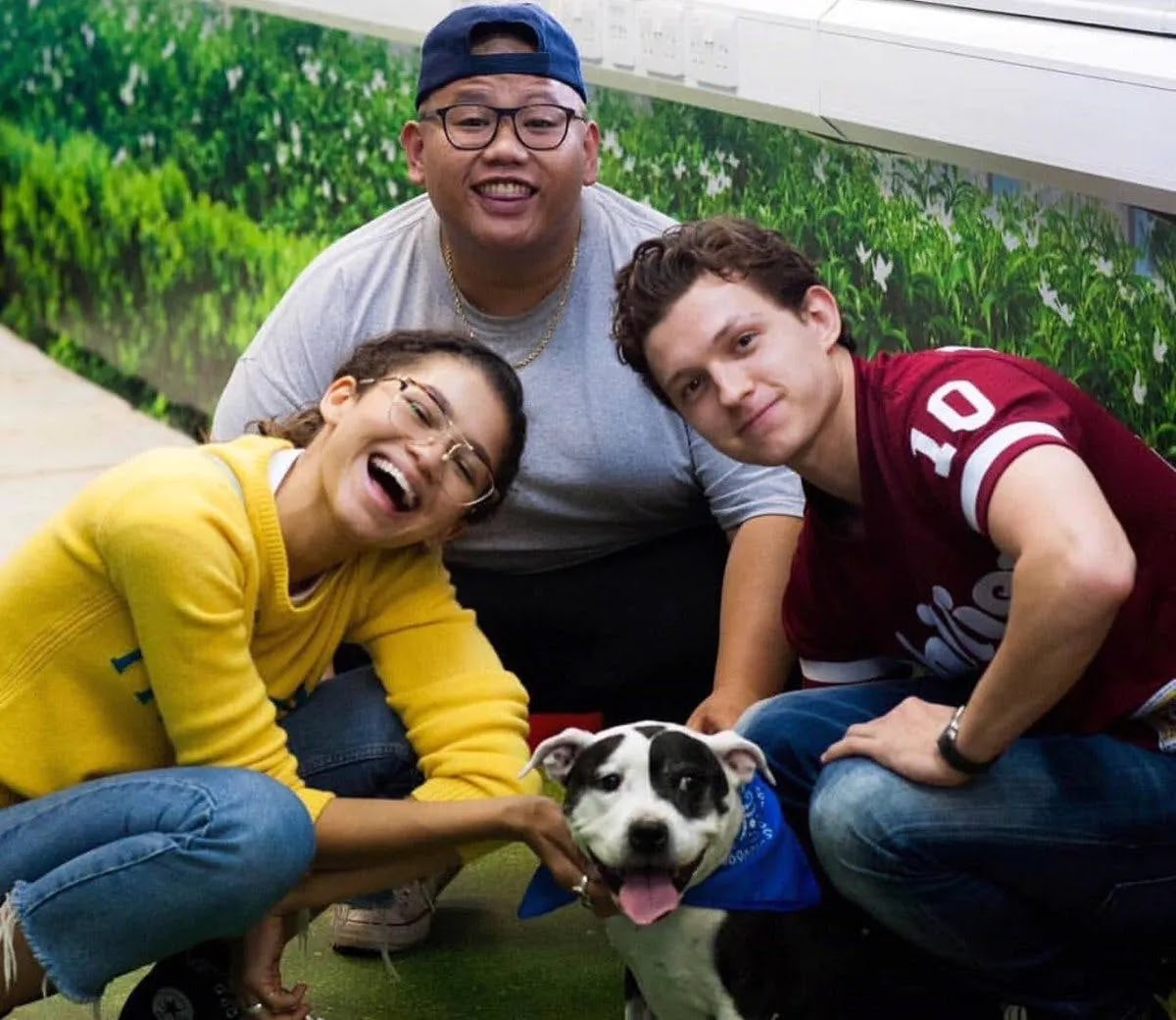 Zendaya and Tom Holland's Pit bull Dog