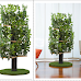 The Best Cat Trees With Leaves For Indoor Cats in The US