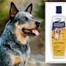 Top Four Dog Shampoos For Australian Cattle Dogs in The U.S.