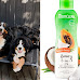 16 Best Shampoos For Bernese Mountain Dogs in the U.S.