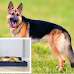 Top Four Dog Beds for German Shepherds in The U.S.