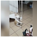 Adorable Dog Dancing To Grandma's Singing In Hilarious Video
