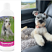 Three Best Dog Shampoos For Miniature Schnauzers in The U.S.