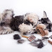 The Best Brushes For Miniature Schnauzers in The United States
