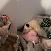 Kentucky Woman Sees Basket of Stuffed Animals and Notices Something Unusual About One